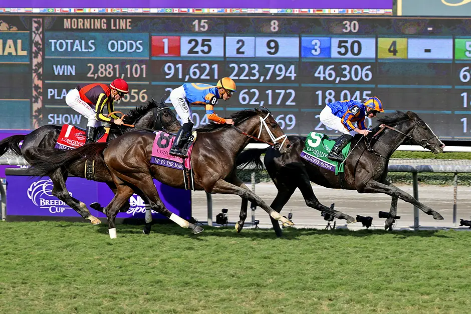 Les 3 Gagnants, 3Gagnants